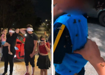 motoboy abelhas
