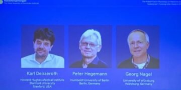 Karl Deisseroth, Peter Hegemann e Georg Nagel venceram o Nobel de Medicina 2026