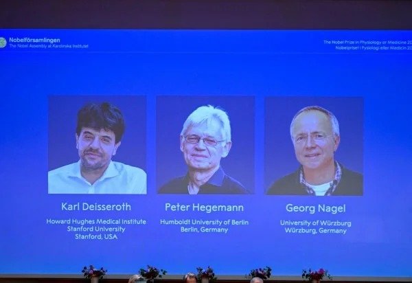 Karl Deisseroth, Peter Hegemann e Georg Nagel venceram o Nobel de Medicina 2026